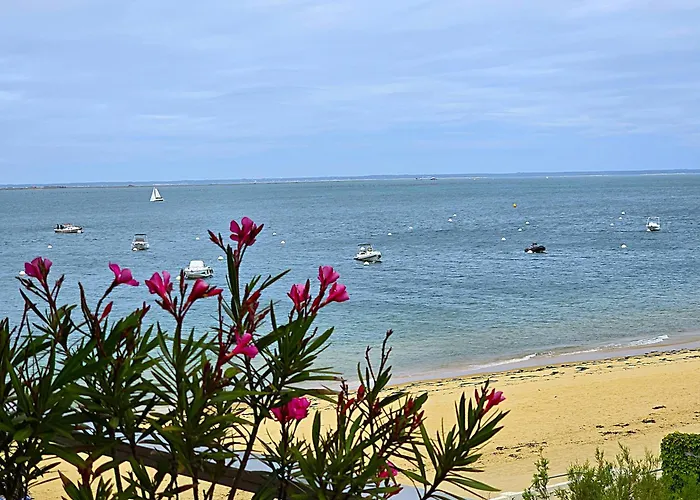 Lagrange Les Residences Du Bassin Διαμέρισμα Αρασόν